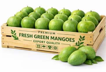 Fresh Mangoes